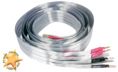 nordost2