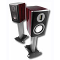 �������� �������� Monitor Audio Platinum PL100 Rosewood