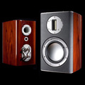 �������� �������� Monitor Audio Platinum PL100 Rosewood