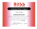 ���������������� BOSS Audio
